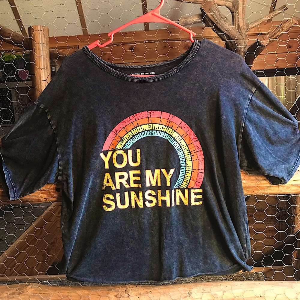 Caution To The Wind, medium, cropped, You are my sunshine tee